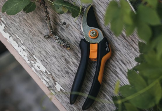 Fiskars pruning shears - Anvil or bypass pruner?