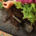 Lopatka na zeminu pro sázení a výsadbu do květináčů